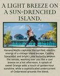 Load image into Gallery viewer, Havana Mojito Free Sample