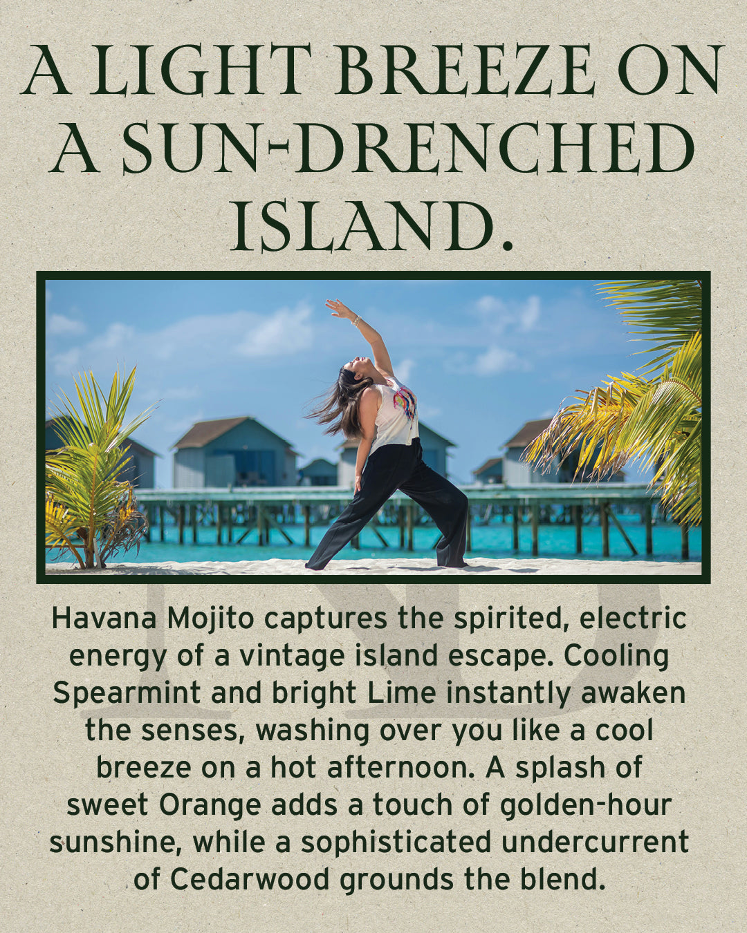 Havana Mojito Free Sample