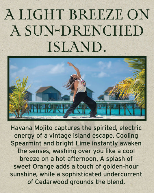 Havana Mojito Free Sample