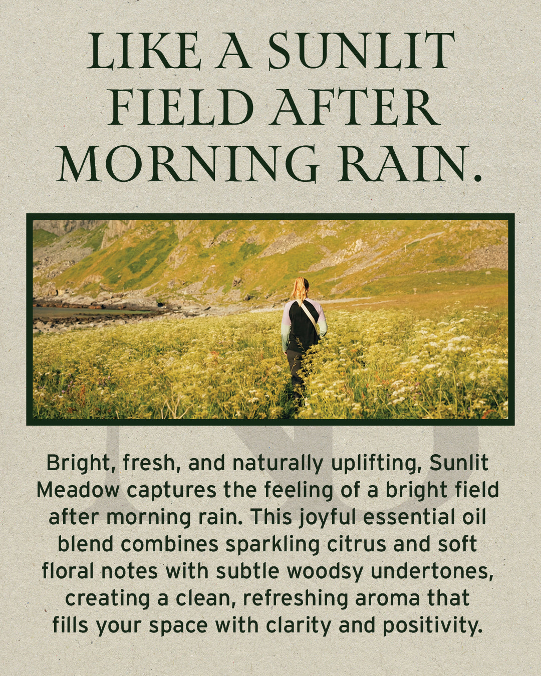 Sunlit Meadow Free Sample