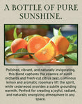 Load image into Gallery viewer, Citrus Grove Free Sample

