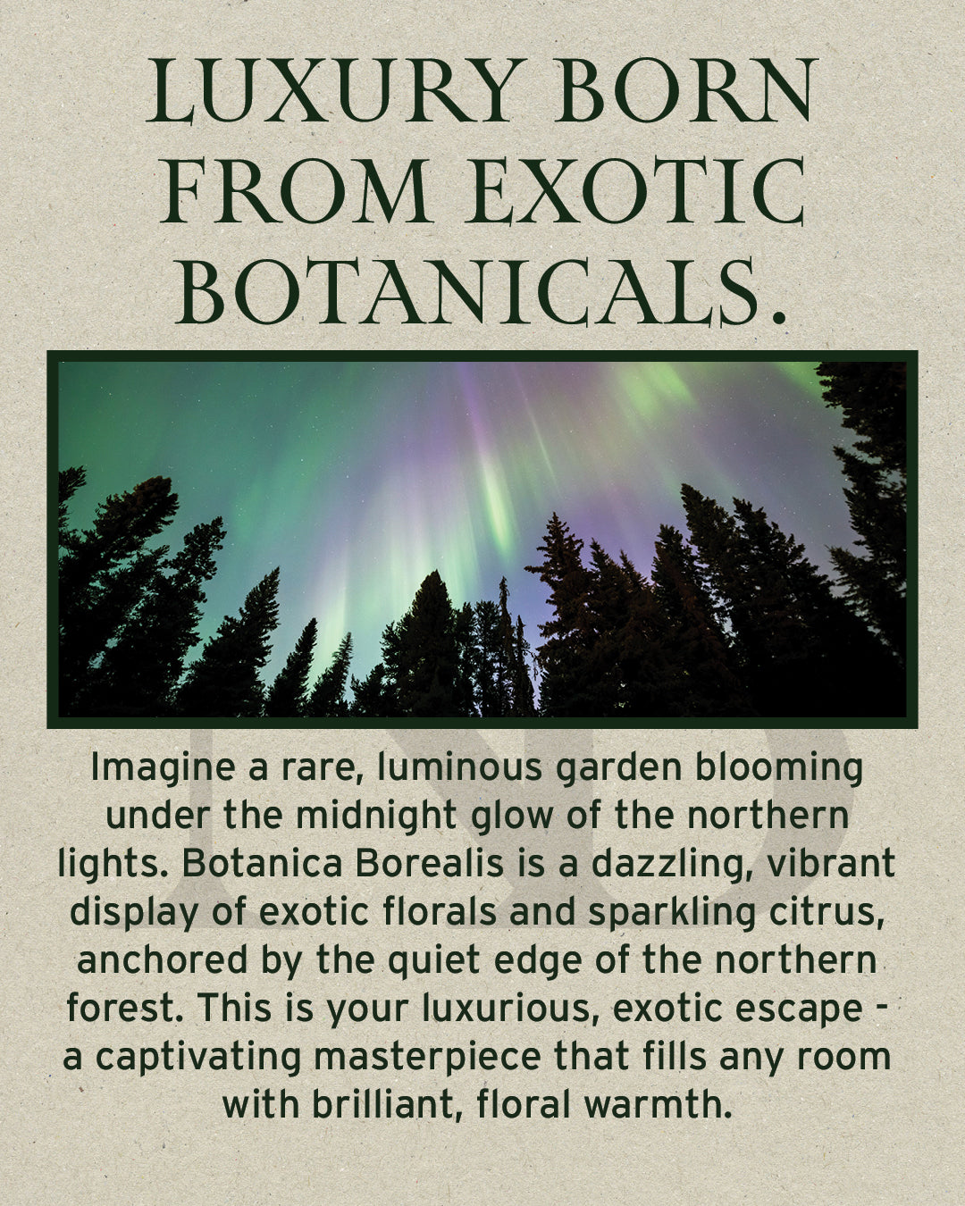 Botanica Borealis