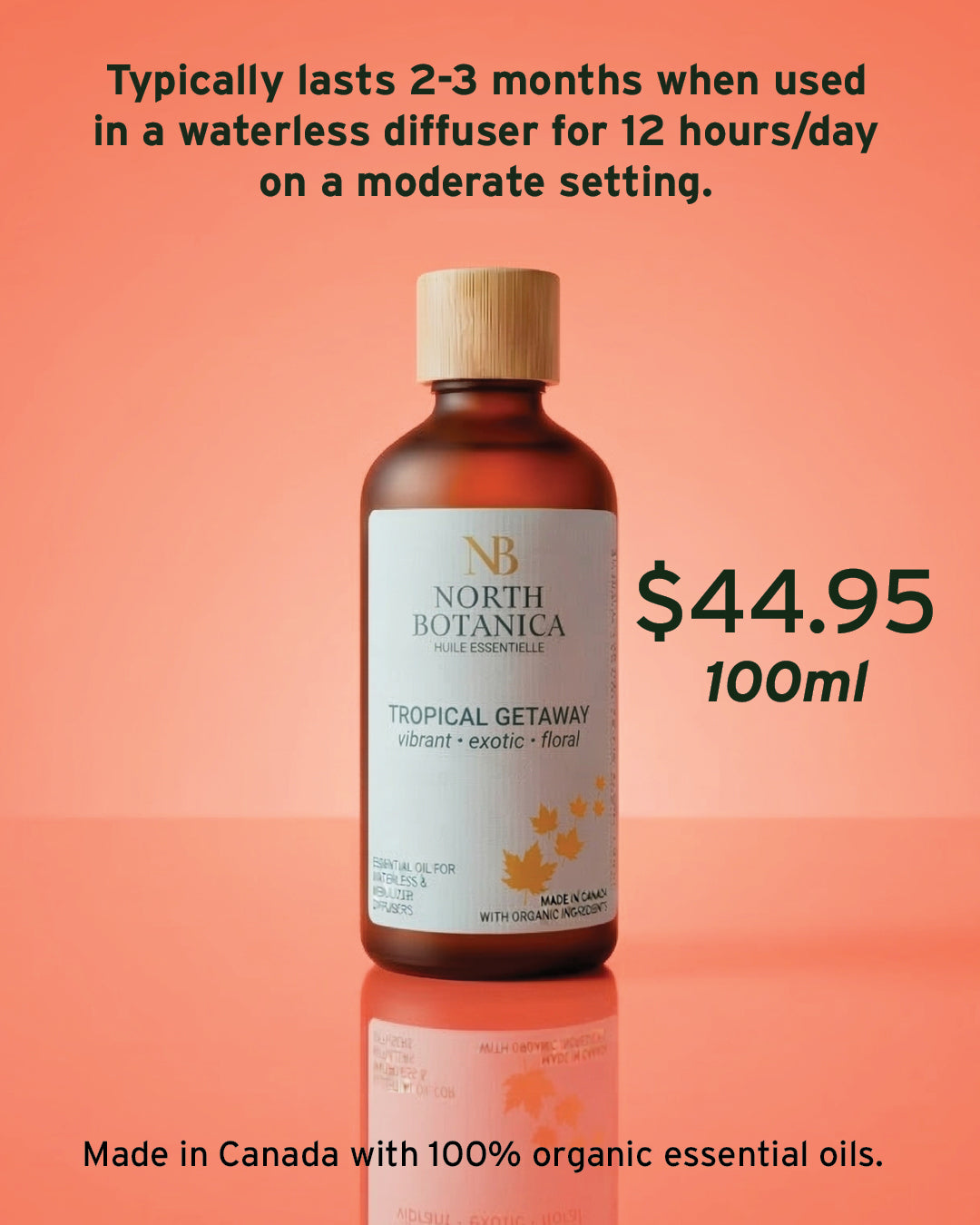 Tropical Getaway Free Sample