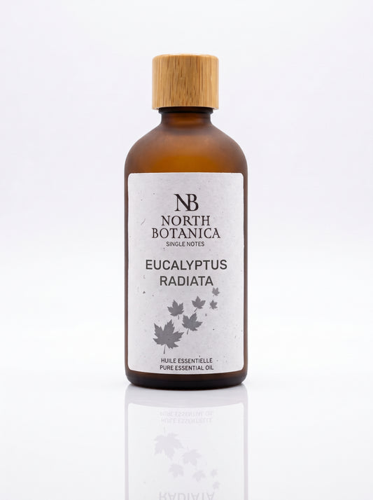 Eucalyptus Radiata - 100mL